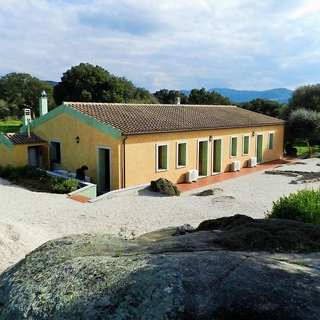 Chicchiritanos Panzió Monti Kültér fotó