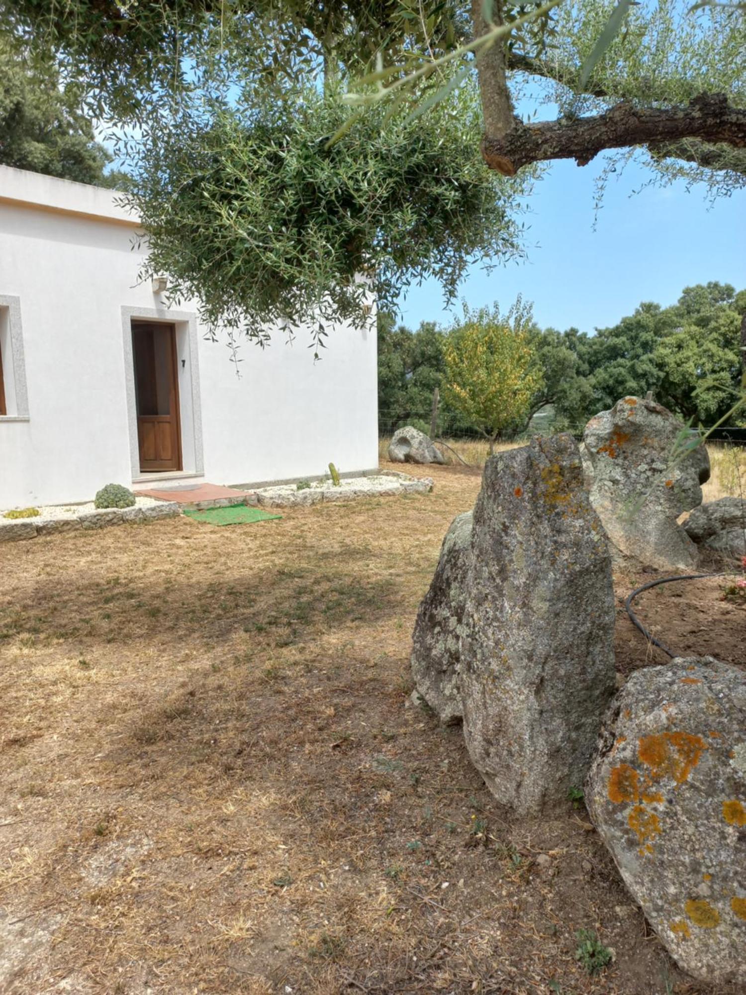 Chicchiritanos Panzió Monti Kültér fotó