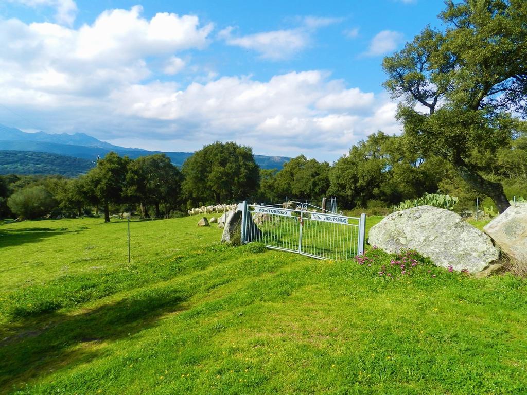 Chicchiritanos Panzió Monti Kültér fotó