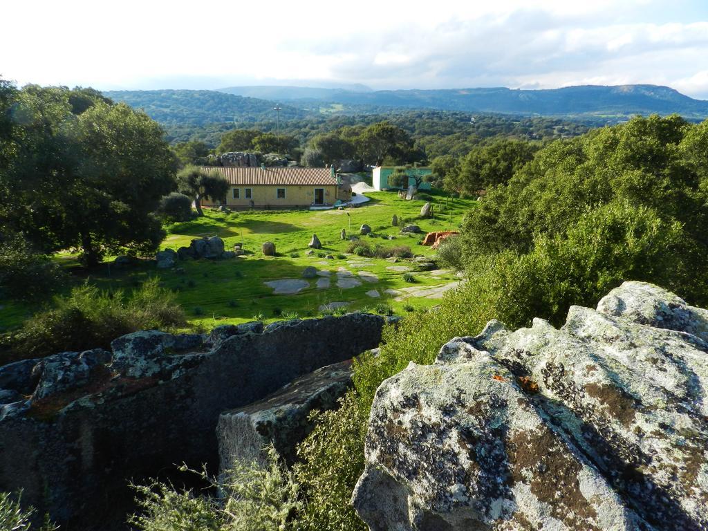 Chicchiritanos Panzió Monti Kültér fotó